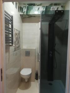 a small bathroom with a toilet and a shower at Noclegi Centrum in Jelenia Góra