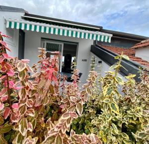 a white house with a green and white window at A Cuneo in Terrazza in Cuneo