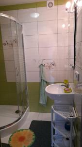 a small bathroom with a shower and a sink at Agroturystyka Pokoje u Zosi in Odrowąż