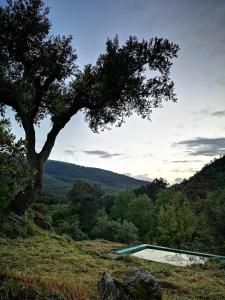 a swimming pool sitting on top of a hill with a tree at Monte das Cascatas in Marvão