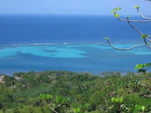 uma vista para o oceano a partir do topo de uma colina em Roatan Bed & Breakfast Apartments em West End