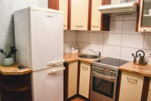 a kitchen with a refrigerator and a sink at Cosy and Charming apartment in Alūksne