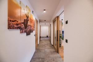 瓦莱迪卡谢斯Appartement Förra的相册照片
