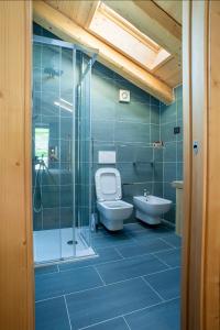 a bathroom with a toilet and a shower and a sink at Locanda La Baita in Santo Stefano di Cadore