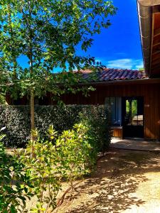 a house with a tree in front of it at Domaine du Ferret Restaurant & Spa in Cap-Ferret