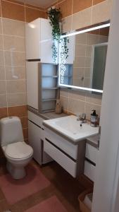 a bathroom with a sink and a toilet and a mirror at Apartman Modena Lux in Vrnjačka Banja