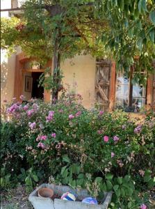 Galería fotográfica de L'Apouticayre en Montaut