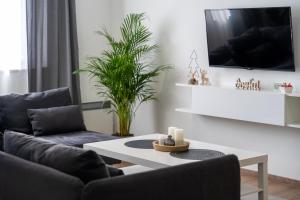 Photo de la galerie de l'établissement Apartment Grey Mountain, à Zlatibor