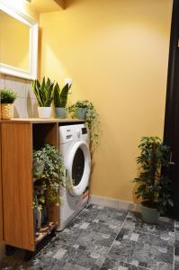 - un lave-linge dans une pièce avec des plantes en pot dans l'établissement Anna's guesthouse, à Riga