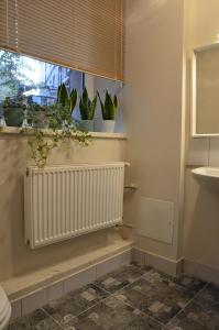 Gallery image of Anna's guesthouse in Riga