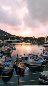 Un paisaje natural cerca de la casa vacacional
