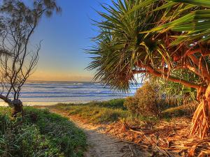 a beach with a palm tree and the ocean at Anchorage Holiday Park in Iluka