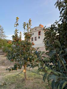Vonkajšia záhrada v ubytovaní Hotel Rural Mas de l'Illa