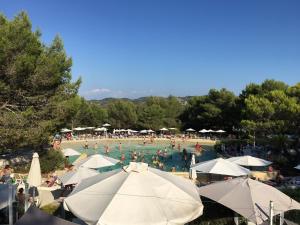 a group of people in a swimming pool with umbrellas at Studio sur le Domaine du Golf de Pont Royal in Mallemort