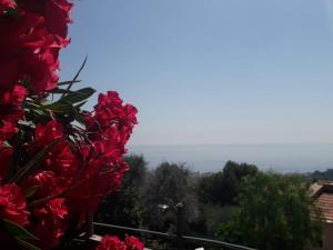 Gallery image of Il Porto di Benny in Alassio +16 photos