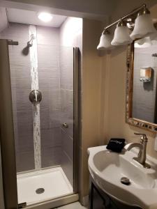 a bathroom with a shower and a sink at HEART OF Denver*Sleeps 10 in Denver