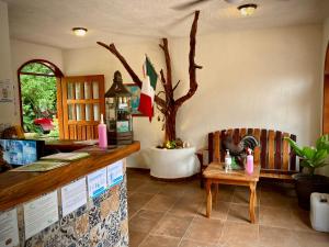 Posezení v ubytování Yaxche Centro Hostal y Camping