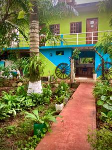 Zahrada ubytování Yaxche Centro Hostal y Camping