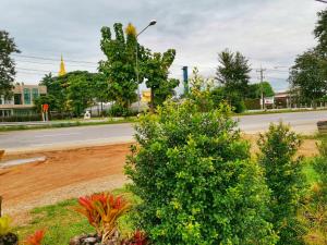 a street with two bushes on the side of a road at อาร์ทู R2 RongKhun in Chiang Rai