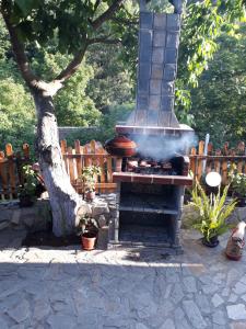 a bbq grill in a yard next to a tree at Guest House „Ivanovata house” in Yanʼovets