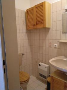 een kleine badkamer met een toilet en een wastafel bij Kleine Ferienwohnung, Einzimmeraparment in Altenkirchen in Almersbach