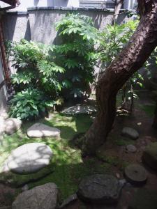 a garden with a tree and rocks and a fence at Sumiyoshiya in Kanazawa