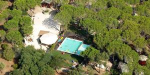 widok na basen w lesie w obiekcie Villaggio Camping Calapineta w mieście Siniscola