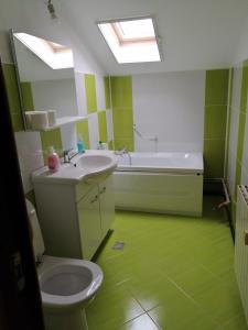 a bathroom with a sink and a tub and a toilet at Casa Herban in Teliucu Inferior +24 photos