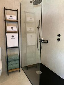 La salle de bains est pourvue d'une douche avec une porte en verre. dans l'établissement Casa da Oliveira, à Poio