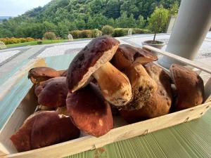 uma caixa de cogumelos em cima de uma mesa em Agriturismo Grammelot em Sarnico