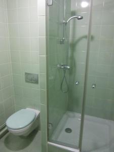 y baño con ducha, aseo y lavamanos. en Hotel Siatel Metz en Norroy-le-Veneur