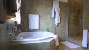 a bathroom with a bath tub and a shower at Fatmols guest lodge in Johannesburg