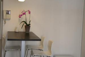 里昂的住宿－福煦第6側公寓，餐桌和椅子,上面有植物