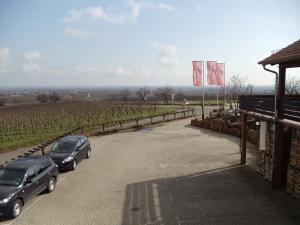 two cars parked in a parking lot next to a vineyard at Weinhotel Kienle in Burrweiler +17 photos