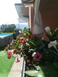 Bazén v ubytování La Fontanella Apartment nebo v jeho okolí