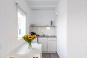 Kuchyň nebo kuchyňský kout v ubytování Sea Wind Apartments + 37 fotografií