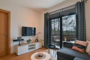 Apartman Ivona - Vila Peković في زلاتيبور: غرفة معيشة مع أريكة وتلفزيون