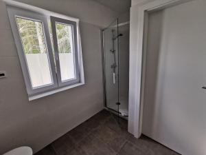 een badkamer met een douche en een raam bij Lipno-Lake in Frymburk
