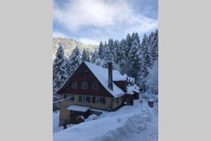 Wood Lodge v zime