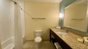 ein Bad mit einem WC, einem Waschbecken und einer Dusche in der Unterkunft Holiday Inn Express Hotel & Suites Orlando East-UCF Area, an IHG Hotel in Orlando