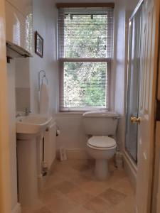 uma casa de banho com um WC, um lavatório e uma janela em Fellview Guest House em Bowness-on-Windermere