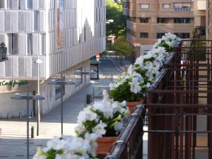 Balkón nebo terasa v ubytování Hostal Navarra