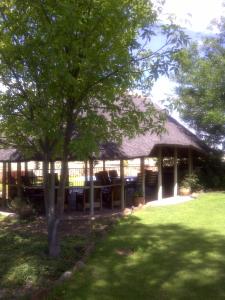 einem Pavillon mit Stühlen und einem Baum im Hof in der Unterkunft Buschberg guest farm in Outjo