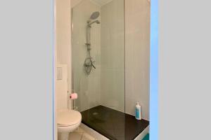 カルカソンヌにあるDuplex Carcassonne centreのシャワー、トイレ、洗面台付きのバスルーム