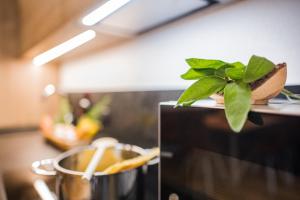 瓦莱迪卡谢斯Appartement Förra的相册照片