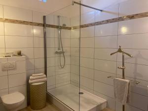 bagno con doccia in vetro, servizi igienici e lavandino di La Terrasse de Louise a Stavelot