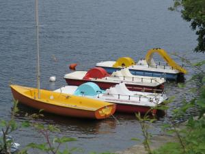 un grupo de barcos sentados en el agua en Campeggio Punta di Crabbia en Pettenasco