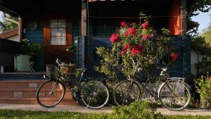 Катание на велосипеде по территории Casa Azul или окрестностям