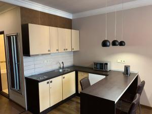 a kitchen with a sink and a counter top at Apartment Elegant in Kyiv