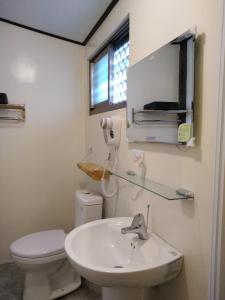 ein Badezimmer mit einem Waschbecken, einem WC und einem Spiegel in der Unterkunft Chentien Changkuang Homestay in Changbin
